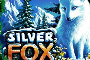 Silver Fox