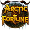 Arctic Fortune