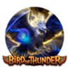 Bird Of Thunder