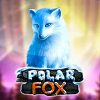 Polar Fox